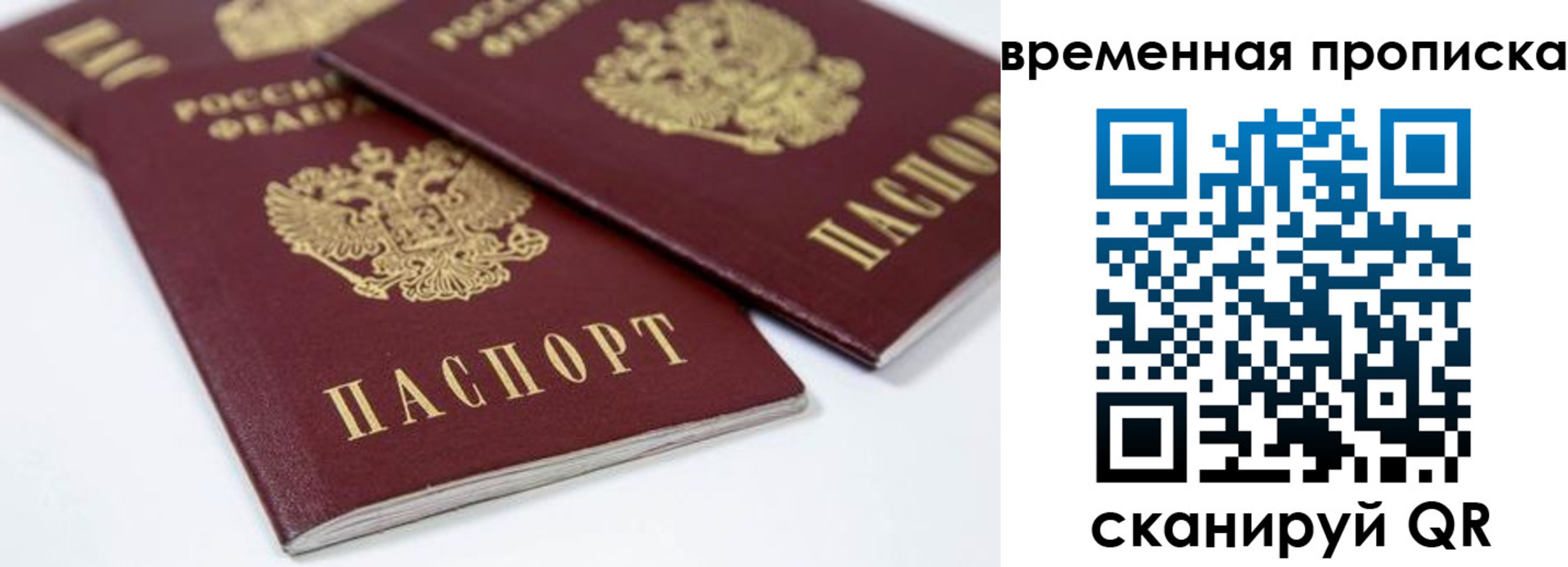 прописка для школы в Сорочинске